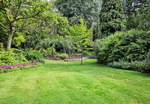 Optimiser l'expérience du jardin à Saint-Gilles-les-Forets